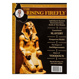 Rising Firefly 69 - Digital Download